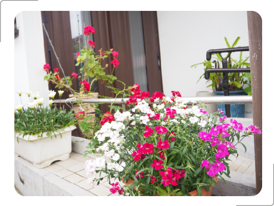 教会の玄関には色とりどりのお花が並べられています